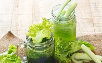 Extracteurs de jus : plaisir du goût, énergie, santé !