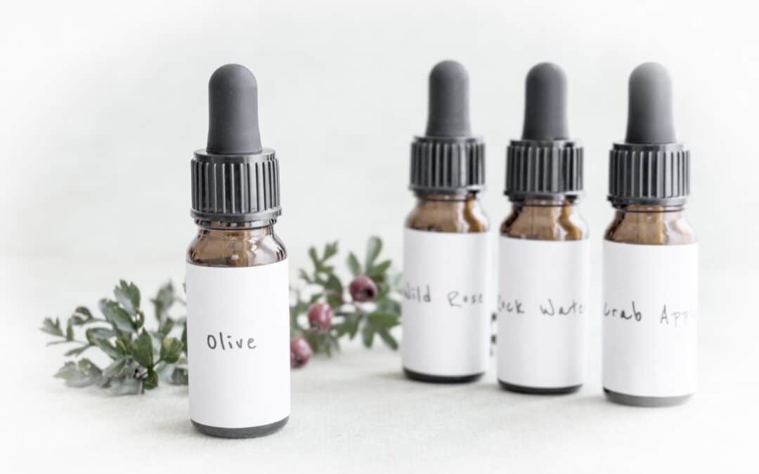 Formation Fleurs de Bach mai 2026